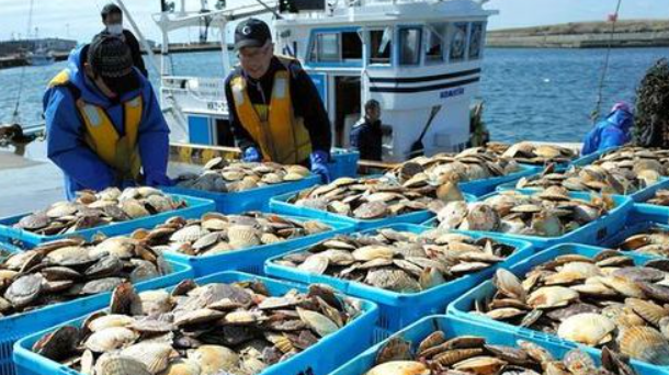 日本7月出口创下近四年半最大降幅,对美出口持